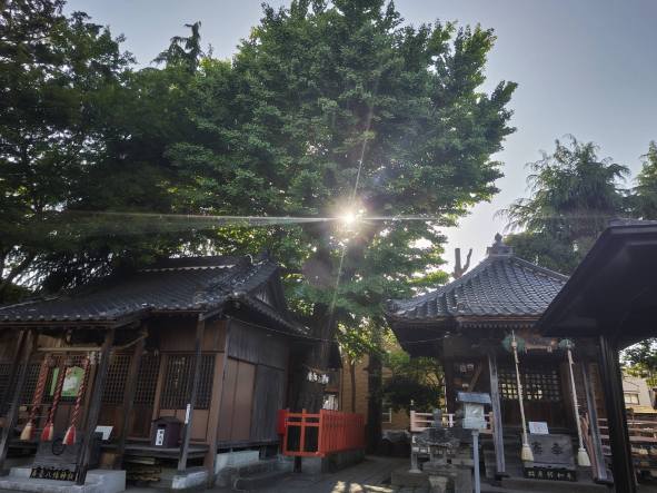 わからないこと　不安なこと