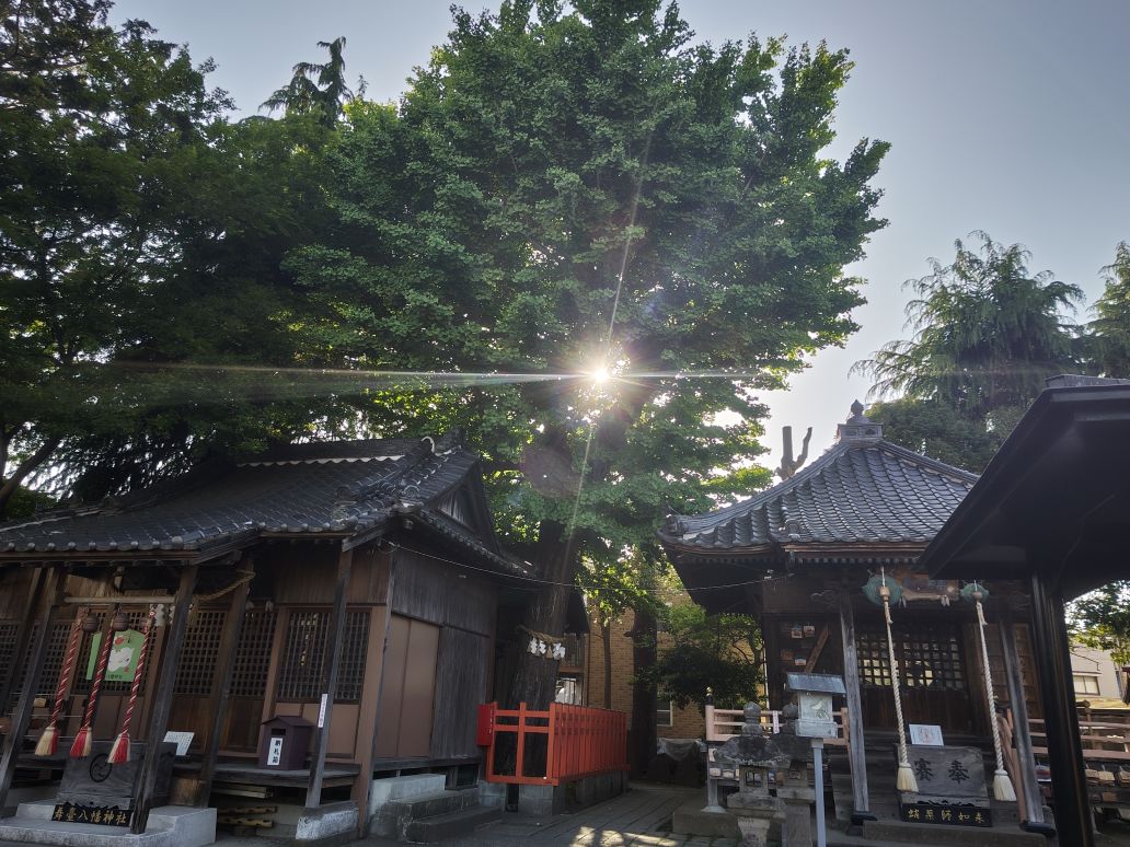 セクハラと容姿と自分の価値と