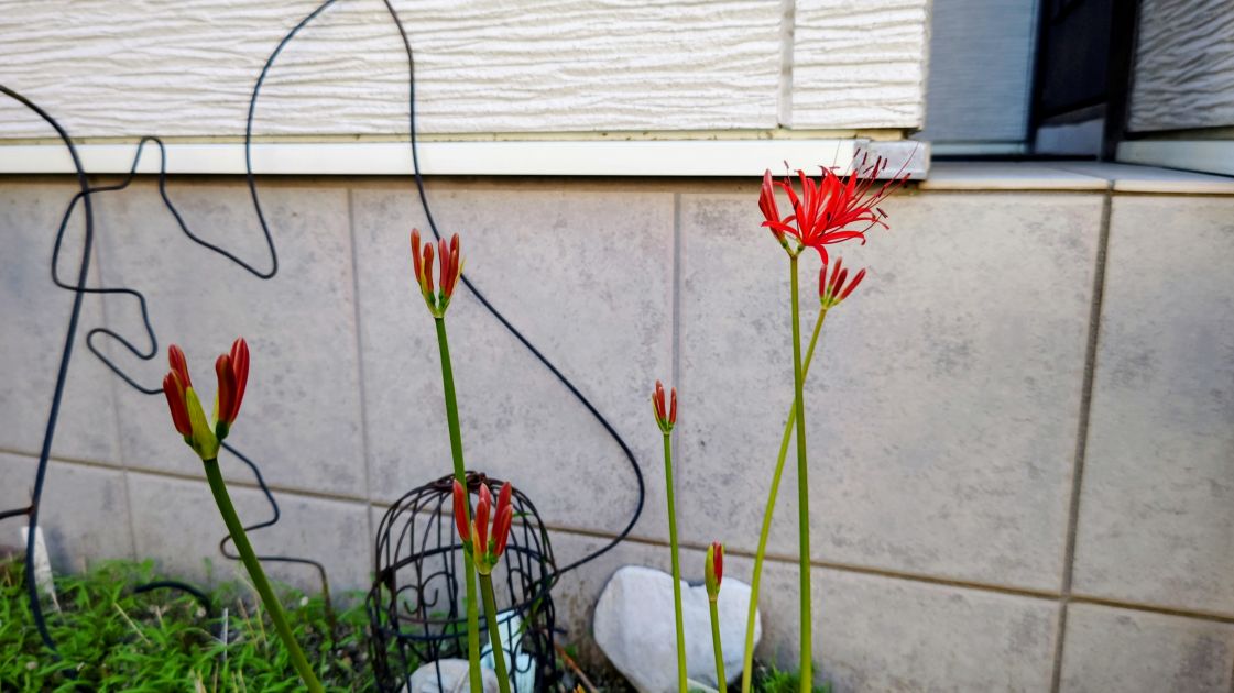 ストレスを減らすために・・・ストレスの関数