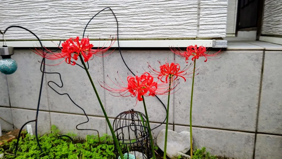 「発達障害診断バブル」