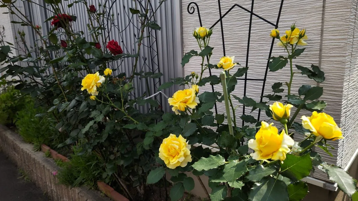 鷲田清一先生の「対話の可能性」