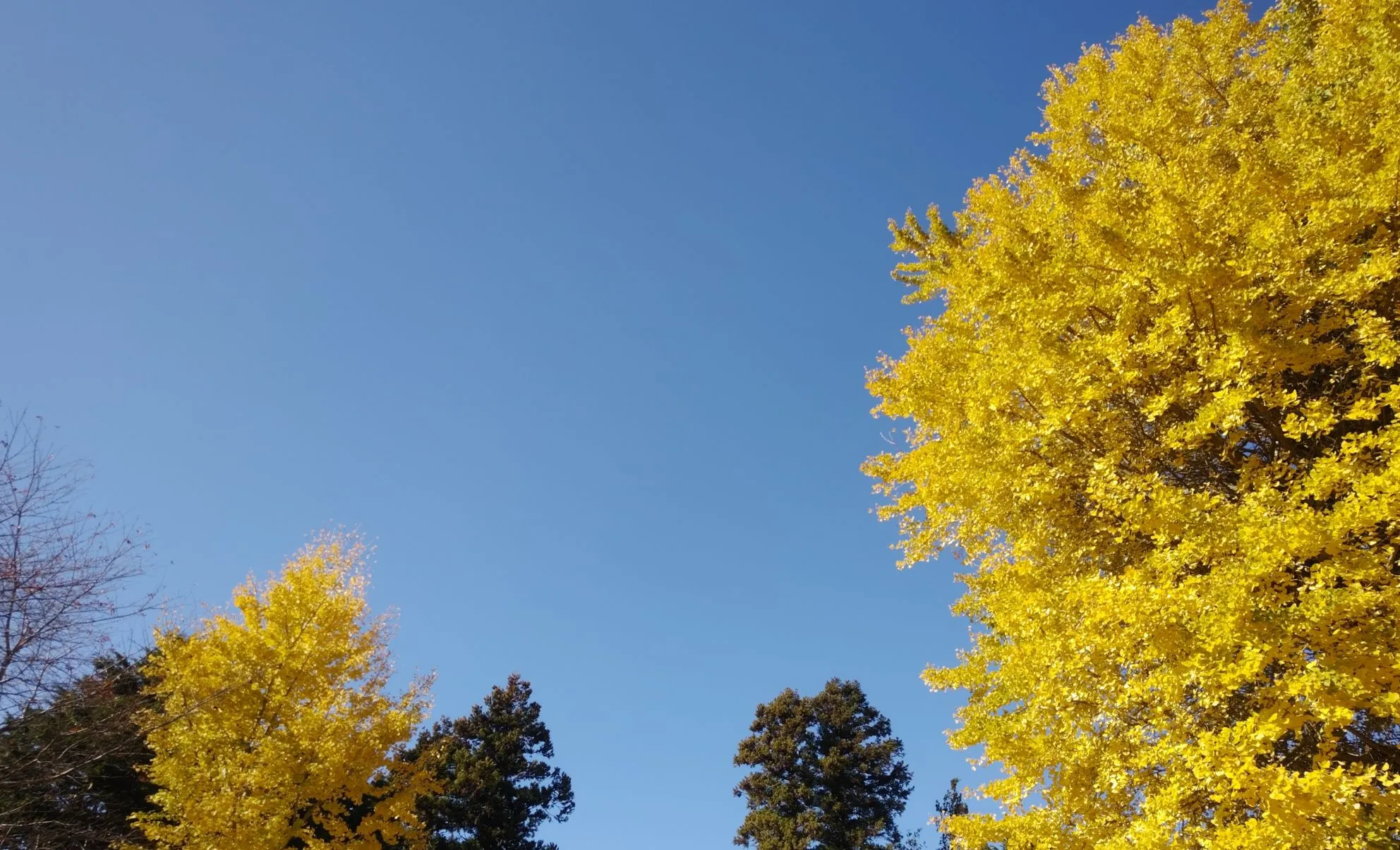 「Q&A」のページを作りました