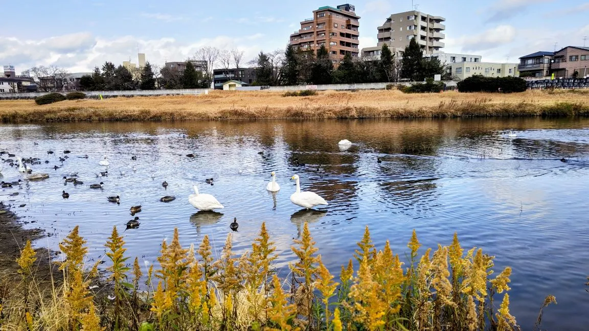 1月5日より業務再開しております