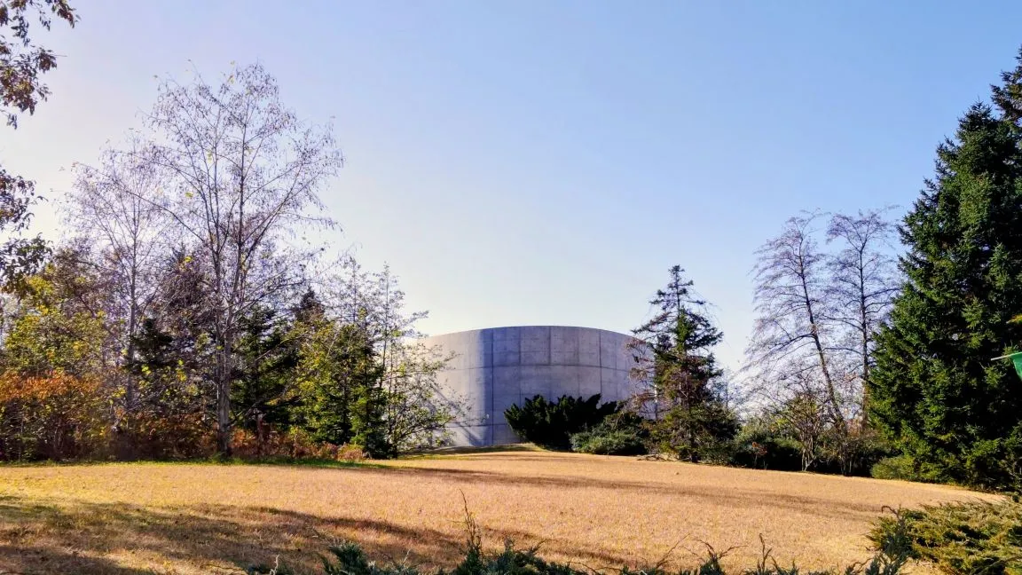 妻の相談で夫の酒量が減る?