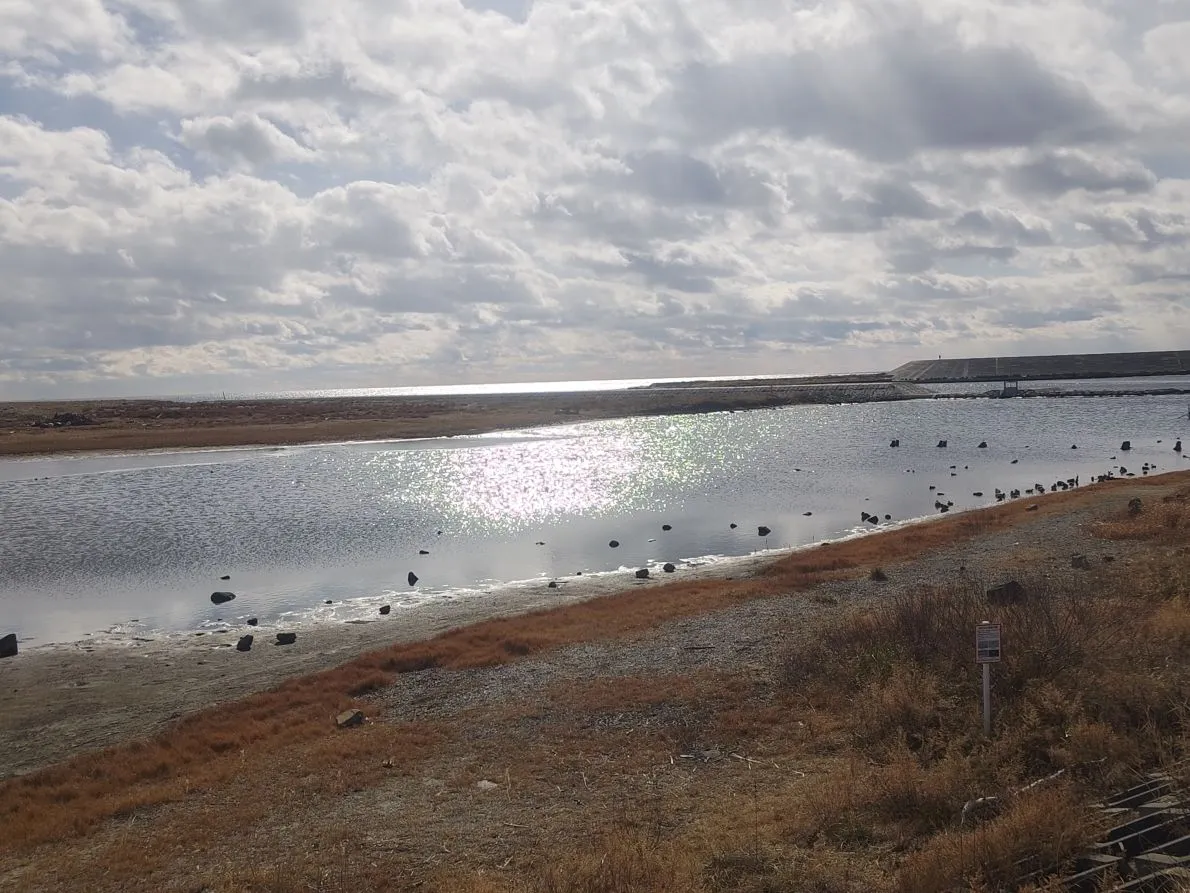 身体的な能力と自己肯定感